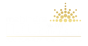 MERG Dealer of the Year 2025 Logo